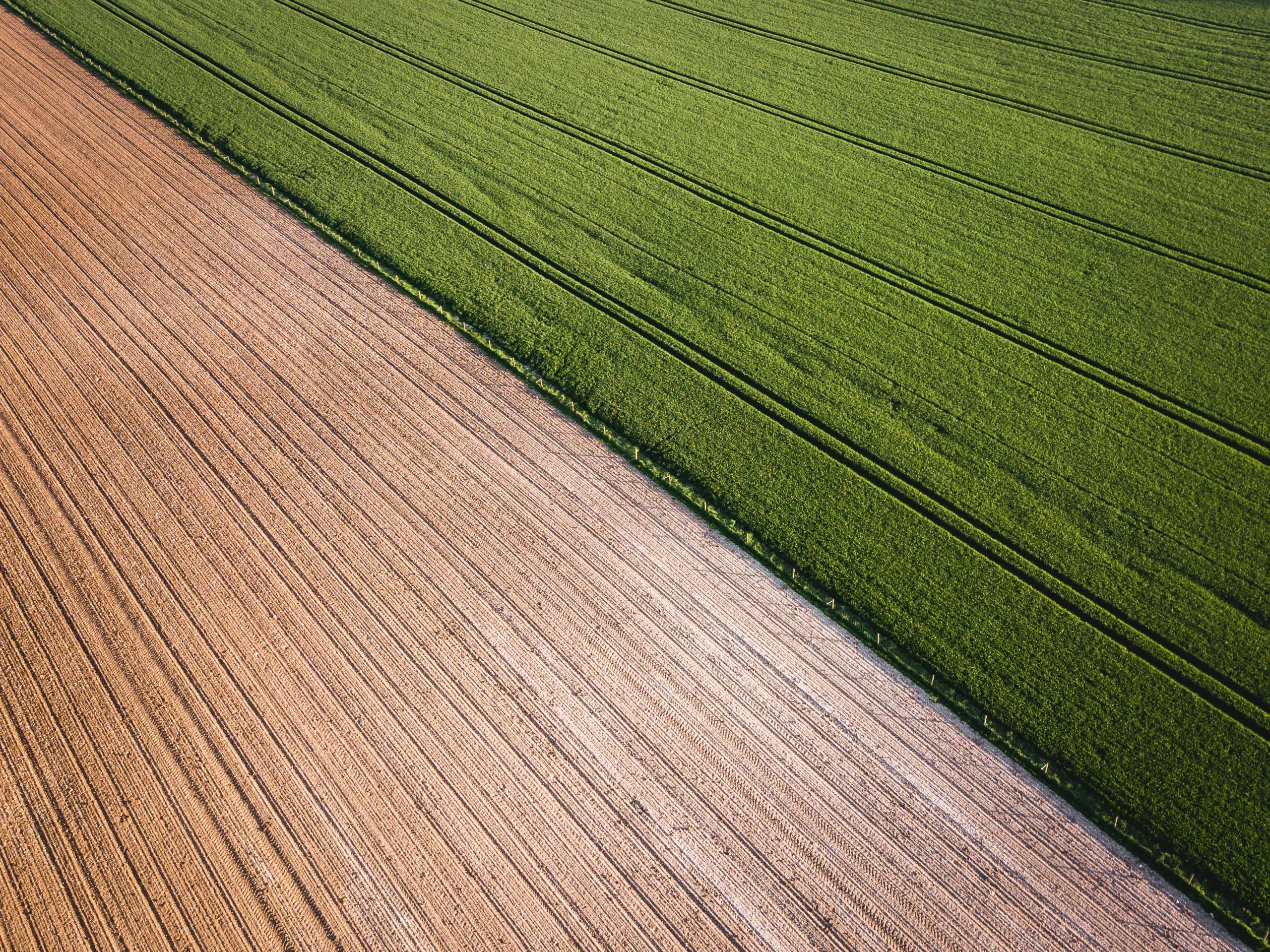 Land Forst Marktbericht